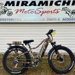 Ebike